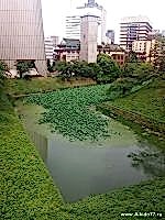 20170624_1534010f0s.jpg
