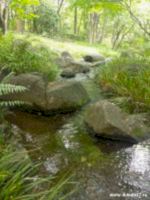20170624_1545330f0s.jpg