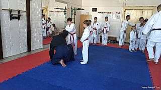 IMG_20200815_125126s0.jpg