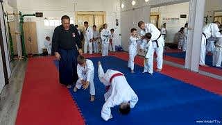 IMG_20200815_125408s0.jpg
