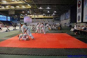 DSC_0729.jpg